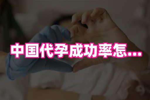 梦美助孕网 2