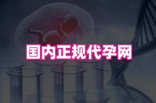 梦美助孕网 3